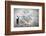 Back View of Businessman Drawing Sketch on Wall-Sergey Nivens-Framed Photographic Print