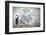 Back View of Businessman Drawing Sketch on Wall-Sergey Nivens-Framed Photographic Print