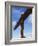 Back View of the Angel of the North Statue, Newcastle Upon Tyne, Tyne and Wear, England, UK-Neale Clarke-Framed Photographic Print