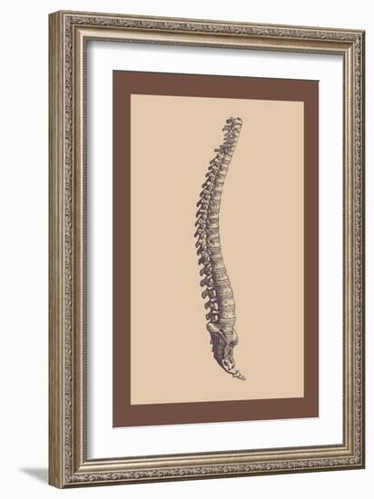 Backbone-Andreas Vesalius-Framed Art Print