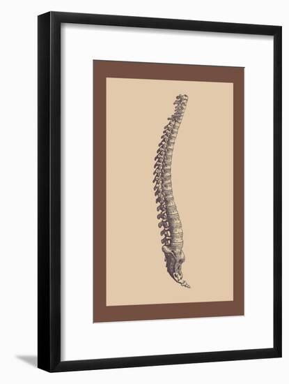 Backbone-Andreas Vesalius-Framed Art Print