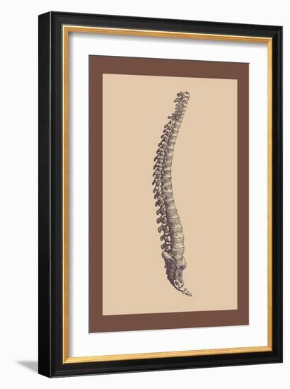 Backbone-Andreas Vesalius-Framed Art Print