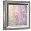 Background of Beautiful Lavender Color Flower Field-Anna Omelchenko-Framed Photographic Print