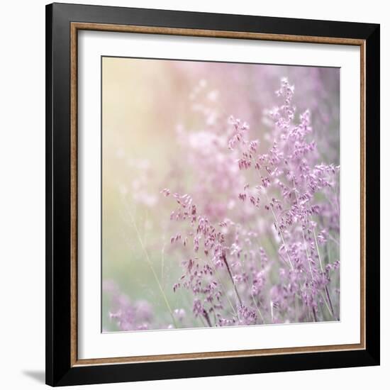 Background of Beautiful Lavender Color Flower Field-Anna Omelchenko-Framed Photographic Print