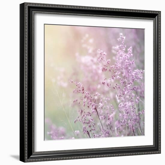 Background of Beautiful Lavender Color Flower Field-Anna Omelchenko-Framed Photographic Print