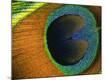 Premium Photographic Print