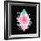 Background with Abstract Geometric Shapes and Flower-incomible-Framed Art Print