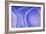 Background with Blue Agate Structure-Dr Alex-Framed Photographic Print
