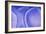 Background with Blue Agate Structure-Dr Alex-Framed Photographic Print
