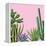 Background with Cactuses and Succulents Set. Plants of Desert.-incomible-Framed Stretched Canvas