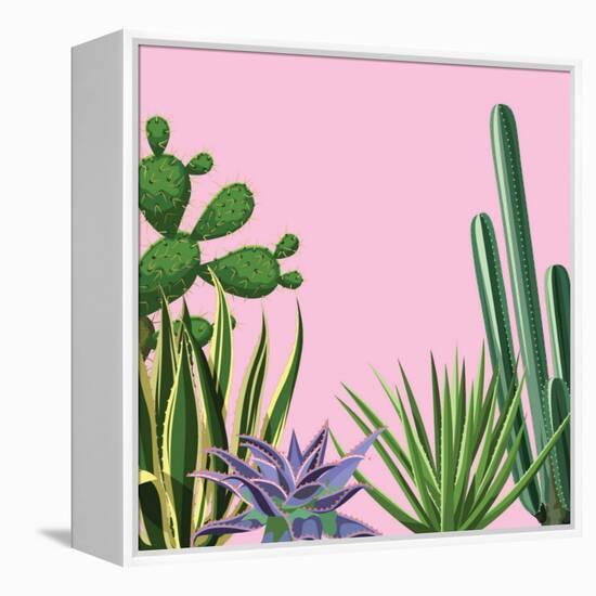 Background with Cactuses and Succulents Set. Plants of Desert.-incomible-Framed Stretched Canvas