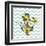 Background with Flowers Dandelion and Anchor-Rasveta-Framed Art Print