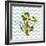 Background with Flowers Dandelion and Anchor-Rasveta-Framed Art Print