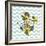 Background with Flowers Dandelion and Anchor-Rasveta-Framed Art Print