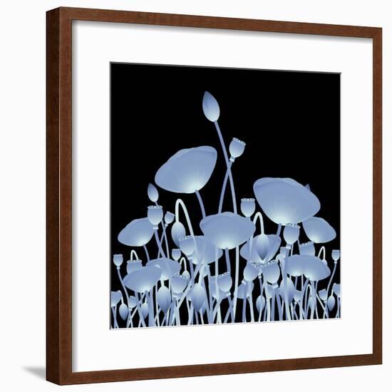 Background with X-Ray Poppy Flowers for Your Design-Vadym Nechyporenko-Framed Photographic Print