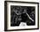 Backhand Volley by John Mcenroe-null-Framed Photographic Print