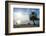 Backlight of Cape Malcear, Lake Malawi, Malawi, Africa-Michael Runkel-Framed Photographic Print