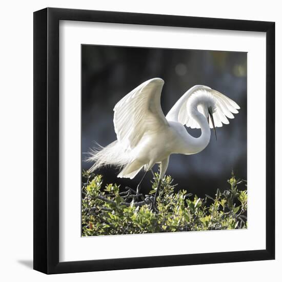 Backlit Grace-Wink Gaines-Framed Giclee Print