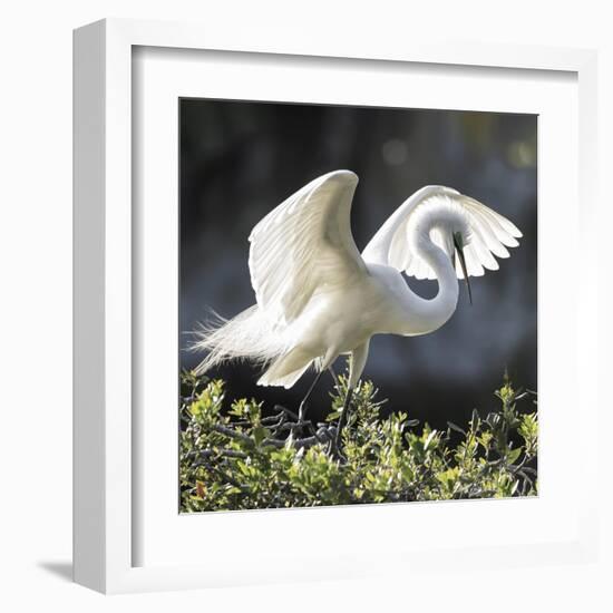 Backlit Grace-Wink Gaines-Framed Giclee Print