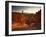 Backlit Hoodoos and Thor's Hammer, Bryce Canyon National Park, Utah, USA-Lee Frost-Framed Photographic Print