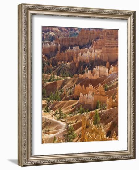 Backlit Sandstone Hoodoos in Bryce Amphitheater, Bryce Canyon National Park, Utah, USA-Neale Clarke-Framed Photographic Print