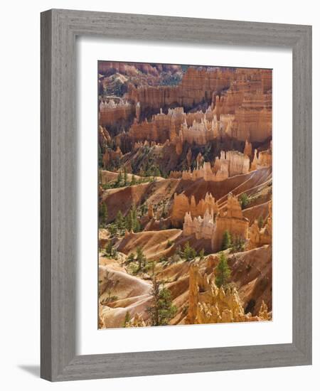 Backlit Sandstone Hoodoos in Bryce Amphitheater, Bryce Canyon National Park, Utah, USA-Neale Clarke-Framed Photographic Print