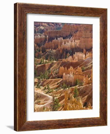 Backlit Sandstone Hoodoos in Bryce Amphitheater, Bryce Canyon National Park, Utah, USA-Neale Clarke-Framed Photographic Print