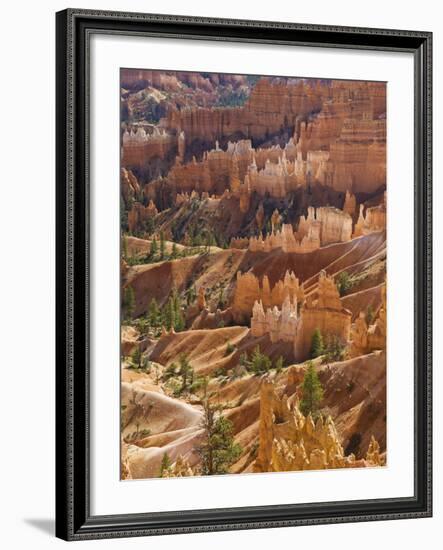 Backlit Sandstone Hoodoos in Bryce Amphitheater, Bryce Canyon National Park, Utah, USA-Neale Clarke-Framed Photographic Print