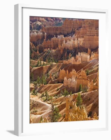 Backlit Sandstone Hoodoos in Bryce Amphitheater, Bryce Canyon National Park, Utah, USA-Neale Clarke-Framed Photographic Print