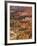 Backlit Sandstone Hoodoos in Bryce Amphitheater, Bryce Canyon National Park, Utah, USA-Neale Clarke-Framed Photographic Print