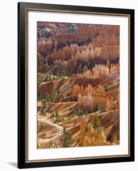 Backlit Sandstone Hoodoos in Bryce Amphitheater, Bryce Canyon National Park, Utah, USA-Neale Clarke-Framed Photographic Print