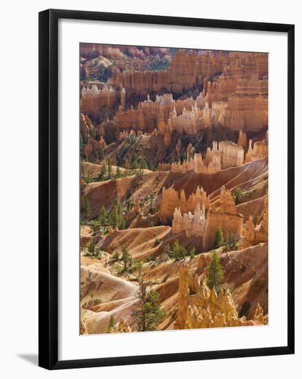 Backlit Sandstone Hoodoos in Bryce Amphitheater, Bryce Canyon National Park, Utah, USA-Neale Clarke-Framed Photographic Print