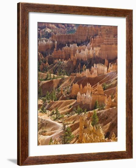 Backlit Sandstone Hoodoos in Bryce Amphitheater, Bryce Canyon National Park, Utah, USA-Neale Clarke-Framed Photographic Print