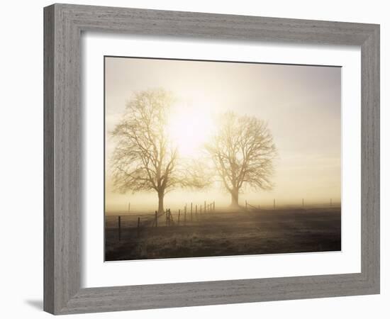 Backlit Trees and Morning Fog, Lechrain, Landsberg, Germany, Europe-Jochen Schlenker-Framed Photographic Print