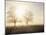 Backlit Trees and Morning Fog, Lechrain, Landsberg, Germany, Europe-Jochen Schlenker-Mounted Photographic Print