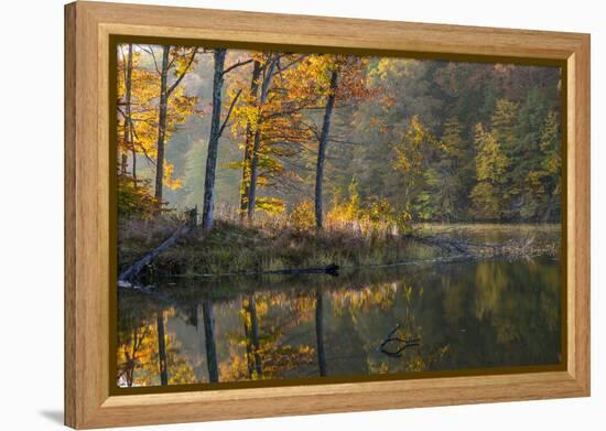 Backlit Trees on Lake Ogle in Autumn in Brown County Sp, Indiana-Chuck Haney-Framed Premier Image Canvas