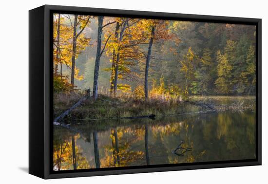 Backlit Trees on Lake Ogle in Autumn in Brown County Sp, Indiana-Chuck Haney-Framed Premier Image Canvas