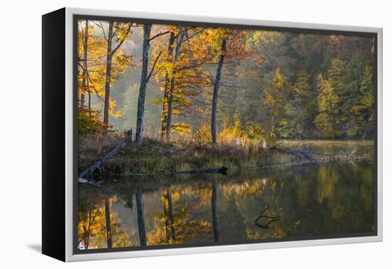 Backlit Trees on Lake Ogle in Autumn in Brown County Sp, Indiana-Chuck Haney-Framed Premier Image Canvas