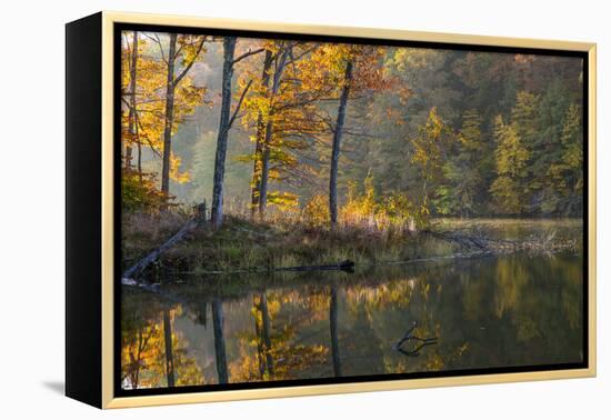 Backlit Trees on Lake Ogle in Autumn in Brown County Sp, Indiana-Chuck Haney-Framed Premier Image Canvas