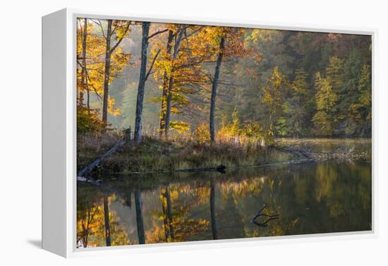 Backlit Trees on Lake Ogle in Autumn in Brown County Sp, Indiana-Chuck Haney-Framed Premier Image Canvas