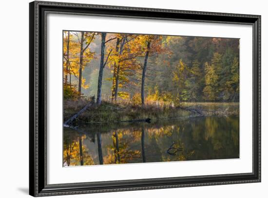 Backlit Trees on Lake Ogle in Autumn in Brown County Sp, Indiana-Chuck Haney-Framed Photographic Print