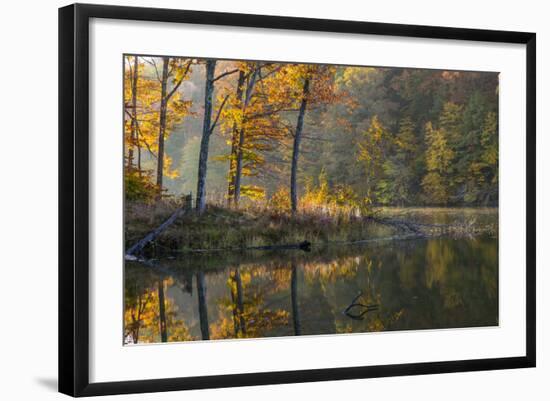 Backlit Trees on Lake Ogle in Autumn in Brown County Sp, Indiana-Chuck Haney-Framed Photographic Print