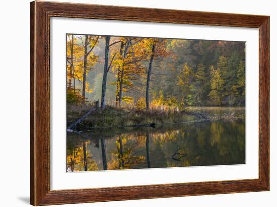 Backlit Trees on Lake Ogle in Autumn in Brown County Sp, Indiana-Chuck Haney-Framed Photographic Print