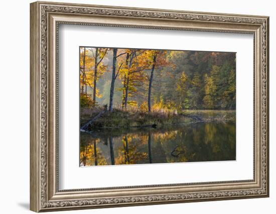 Backlit Trees on Lake Ogle in Autumn in Brown County Sp, Indiana-Chuck Haney-Framed Photographic Print