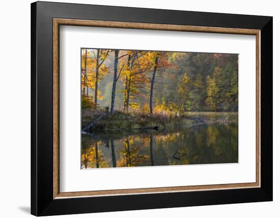 Backlit Trees on Lake Ogle in Autumn in Brown County Sp, Indiana-Chuck Haney-Framed Photographic Print