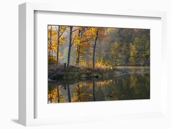 Backlit Trees on Lake Ogle in Autumn in Brown County Sp, Indiana-Chuck Haney-Framed Photographic Print