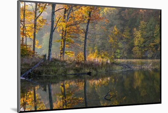 Backlit Trees on Lake Ogle in Autumn in Brown County Sp, Indiana-Chuck Haney-Mounted Photographic Print