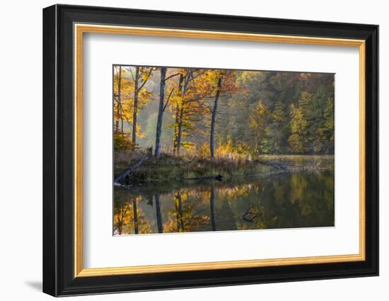 Backlit Trees on Lake Ogle in Autumn in Brown County Sp, Indiana-Chuck Haney-Framed Photographic Print