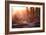 Backlit View of Two Red Deer Stags Battling at Sunrise-Alex Saberi-Framed Photographic Print