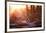 Backlit View of Two Red Deer Stags Battling at Sunrise-Alex Saberi-Framed Photographic Print